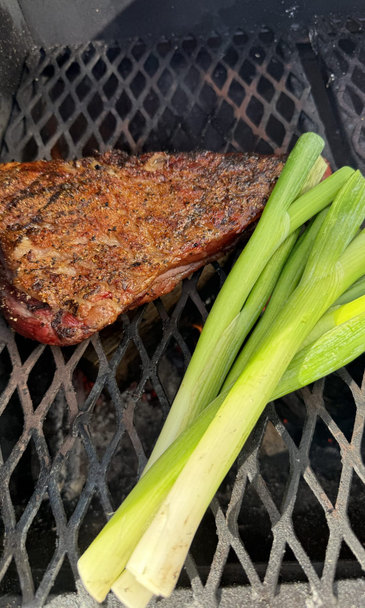 Tritip